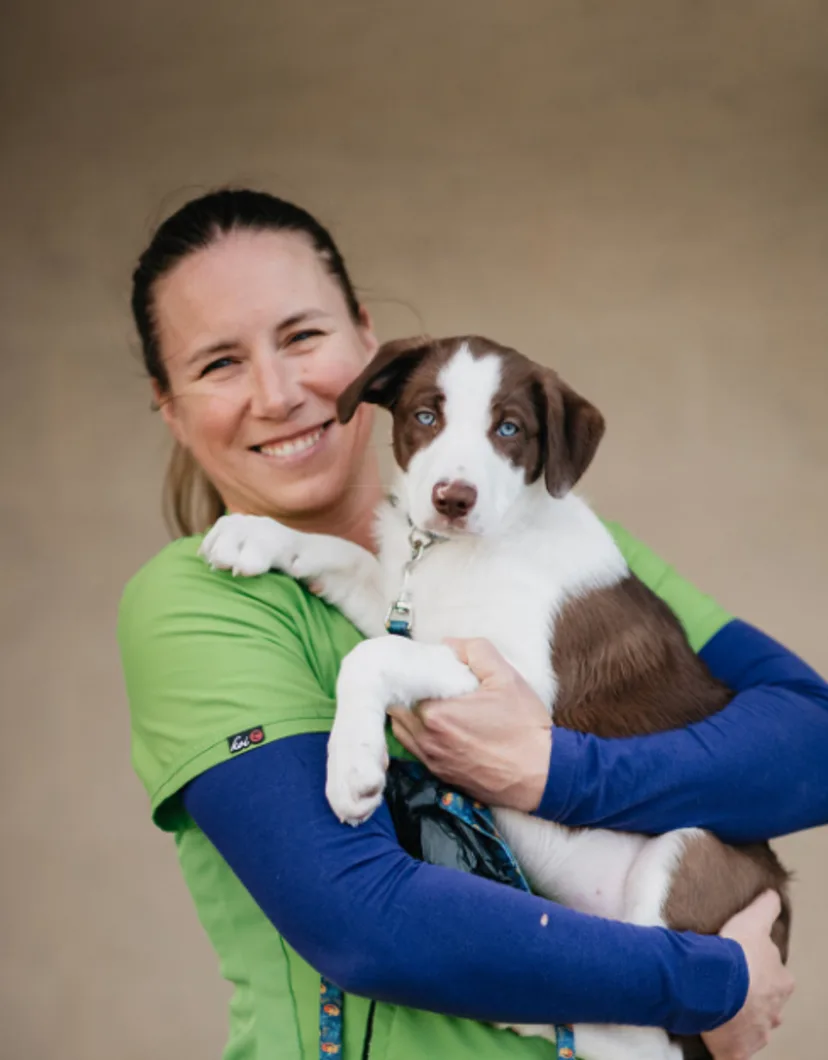 Dr. Lucy Shoemaker holding a brown and white puppy with green and blue scrubs on